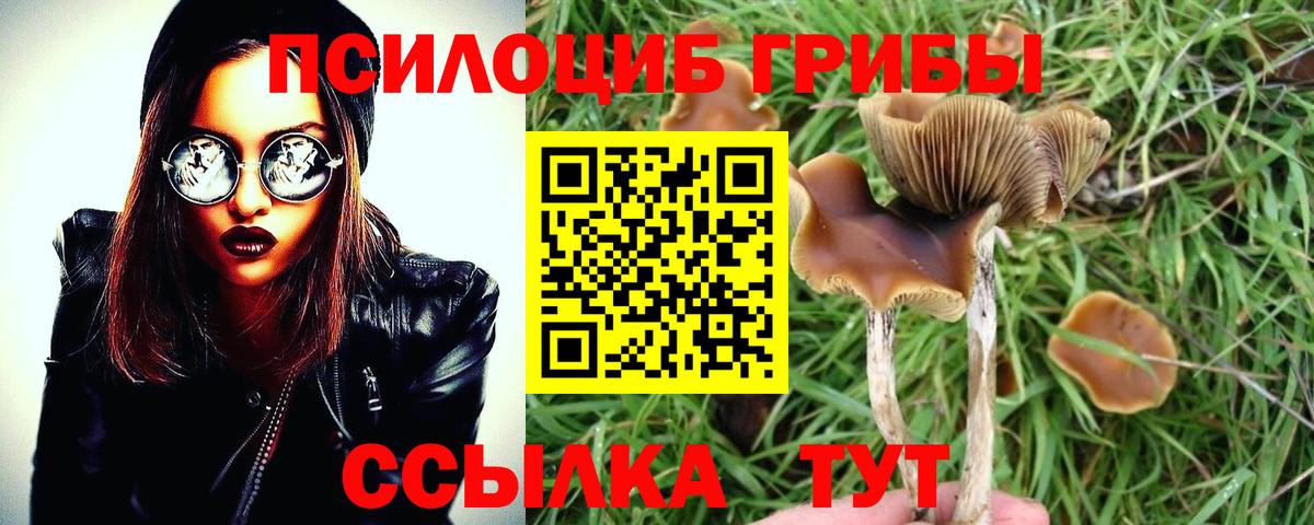 Псилоцибиновые грибы ЛСД Фролово