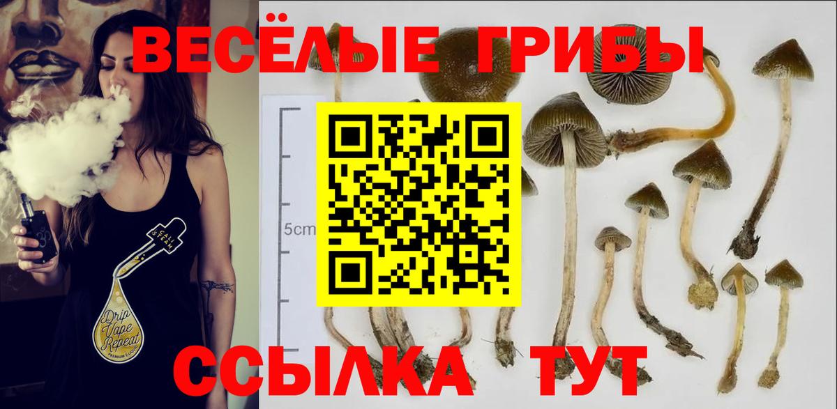 Псилоцибиновые грибы GOLDEN TEACHER  Вход с VPN  Фролово 